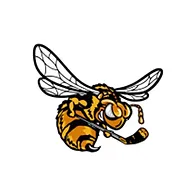 Alvinston Killer Bees