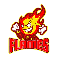 Delhi Flames