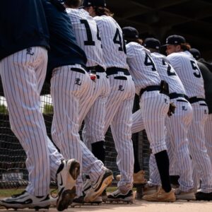 Baseball Pro Pants - 01