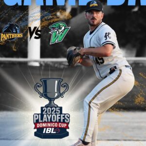 Baseball Sublimated Pants - 02