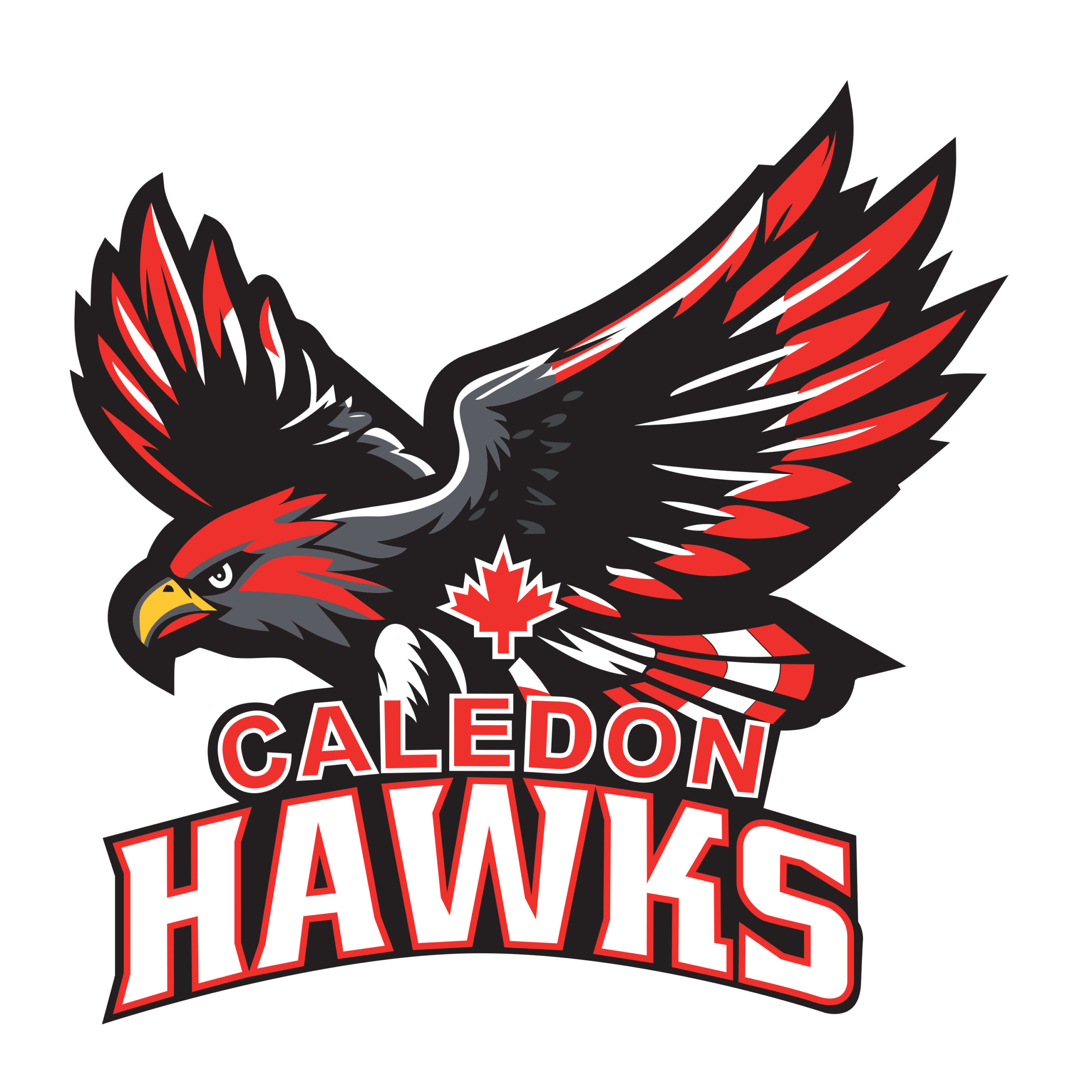 Caledon Hawks (Coming Soon)