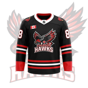 Official Jersey - Away