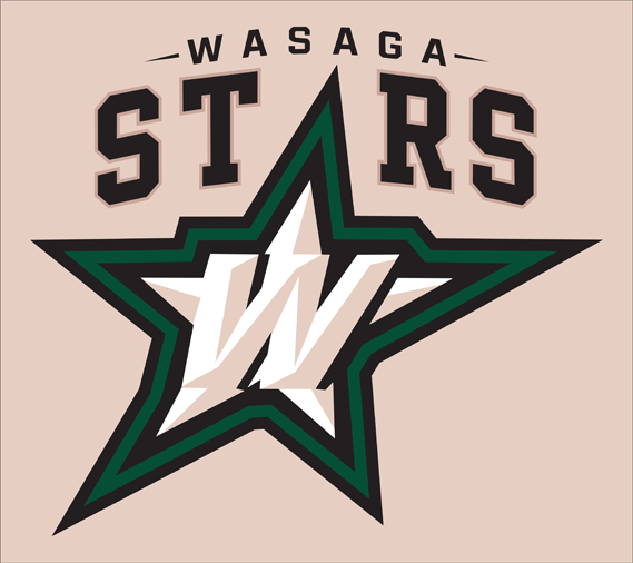 Wasaga stars